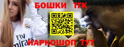 индика Малгобек