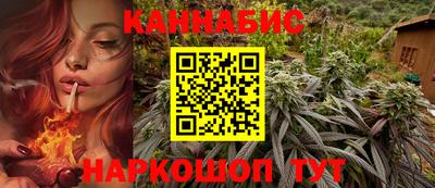 индика Малгобек