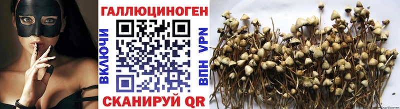 Галлюциногенные грибы Cubensis  Губкин 