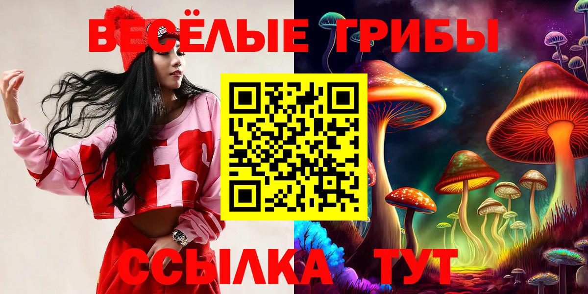 Псилоцибиновые грибы мухоморы Губкин