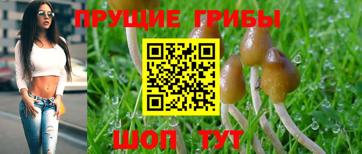 Галлюциногенные грибы MAGIC MUSHROOMS  Псилоцибиновые грибы Cubensis  Вход с VPN  Губкин 